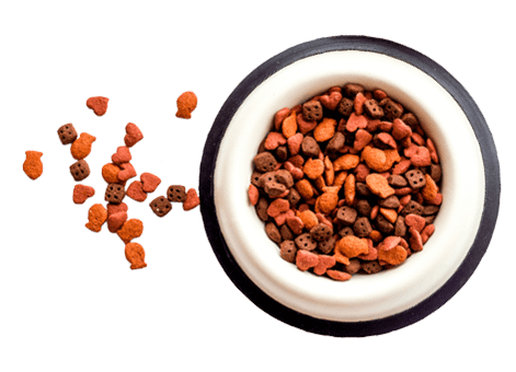 Dog food bowl